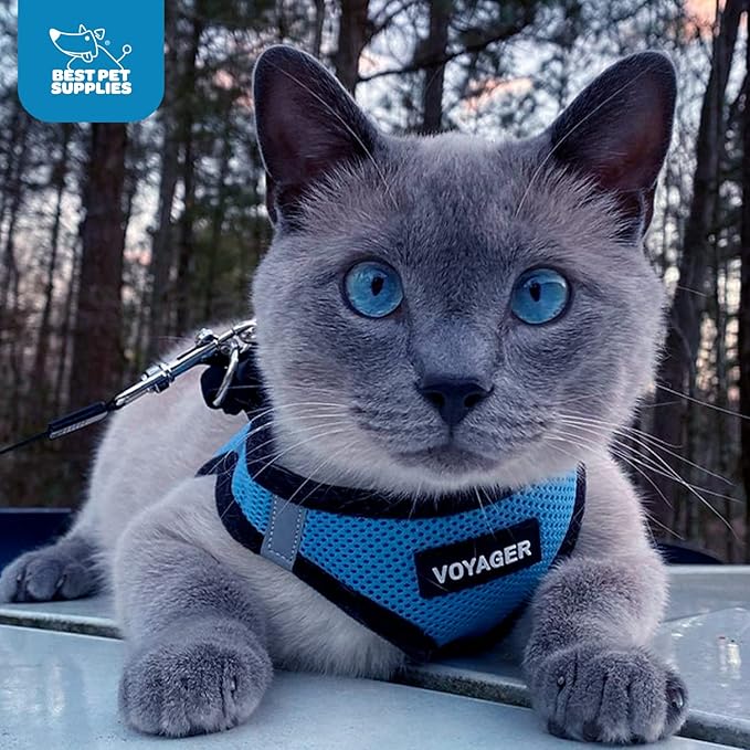 Best Pet Supplies Voyager Step-in Air Harness - Image 10