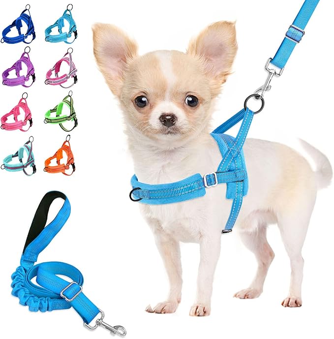 Lukovee No Pull Dog Harness and Leash Set, Soft Padded Small Dog Harness by Lukovee