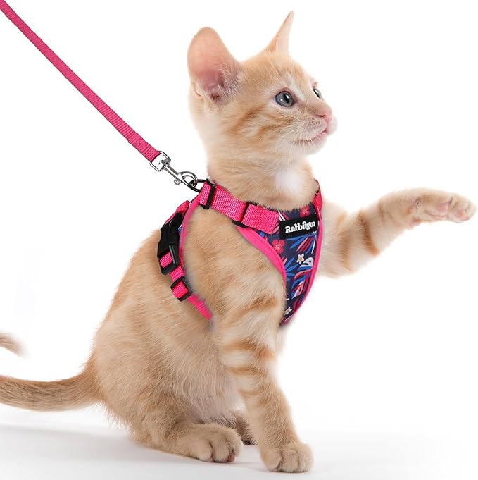 rabbitgoo Cat Harness and Leash Set, Escape Proof Kitten Harness by rabbitgoo