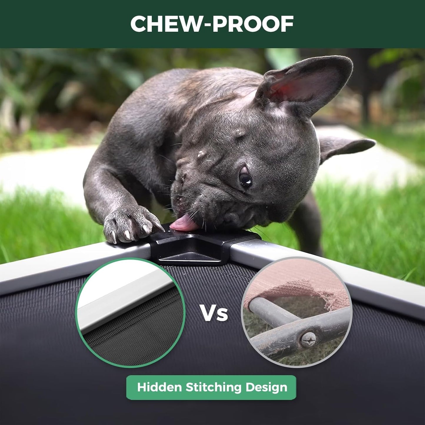 FXW TitanNest Chew-Proof Elevated Dog Bed, Raised Cot for Indoor/Outdoor/Camping Use, Durable & Waterproof Cooling Pet Bed for Medium Dogs, 41.0" L x 27.0" W x 5.0" H, Black