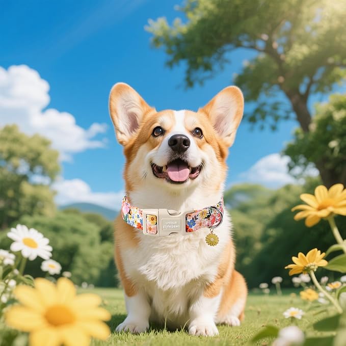 Unique style paws Dog Collar Plastic Buckle - Image 4