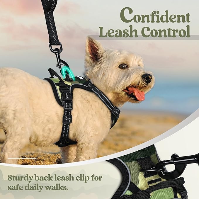 rabbitgoo Dog Harness No Pull - Image 6