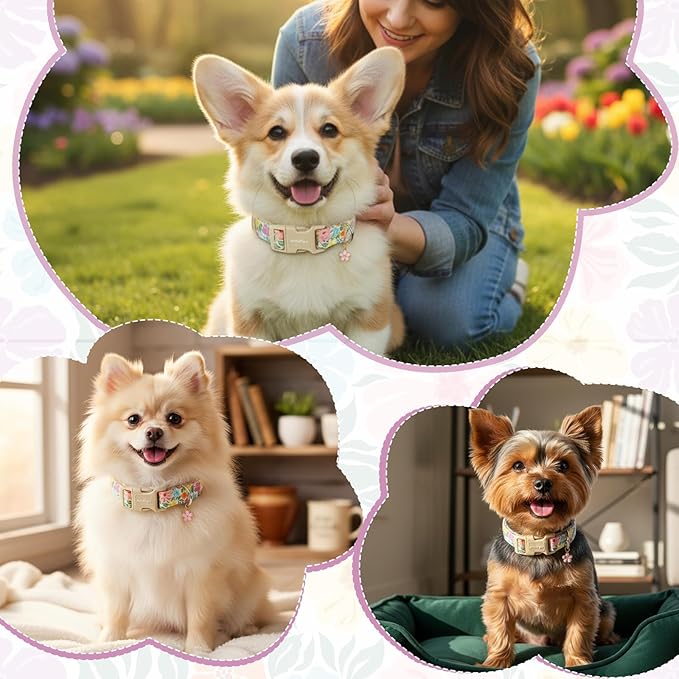 Cotton Dog Collar with Colorful Flowers - Image 5