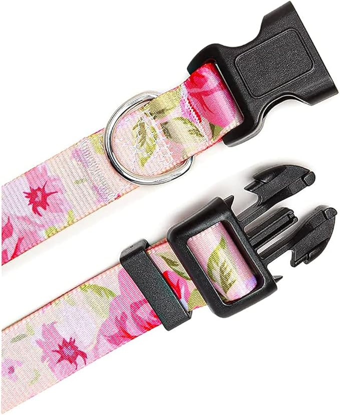Mihqy Dog Collar and Leash Set - Image 2