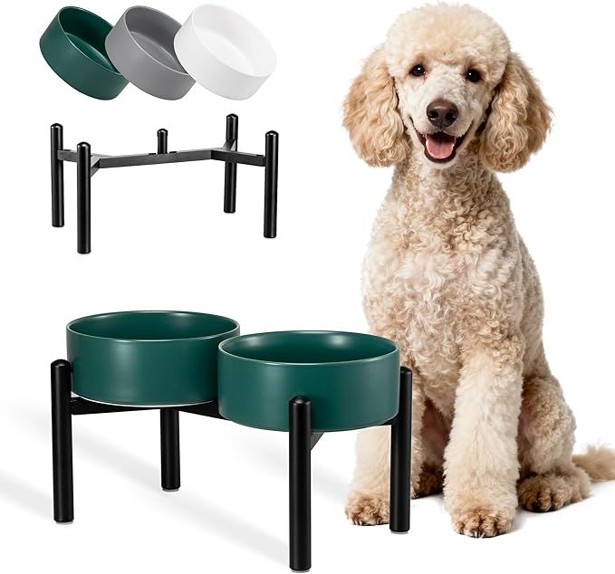 Dog Bowls Elevated by PTOBER