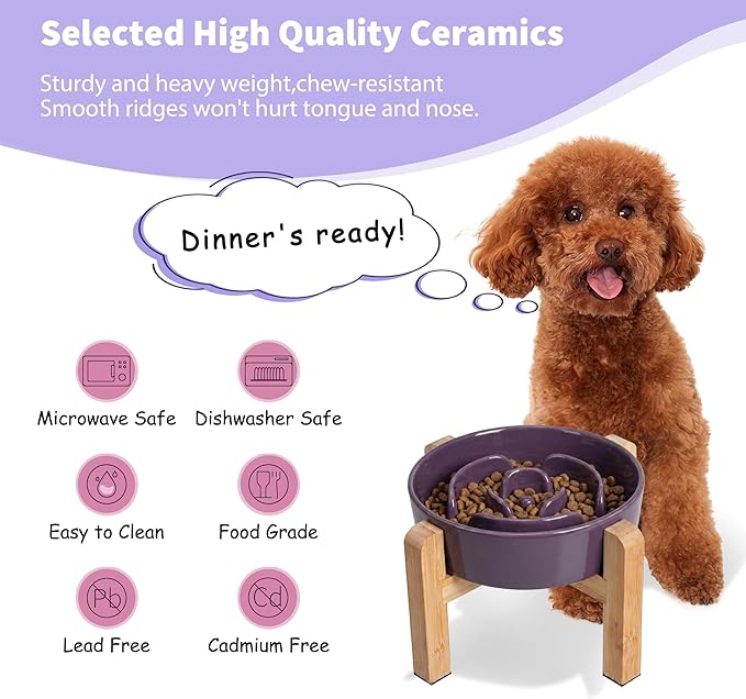 Elevated Slow Feeder Dog Bowl - Image 5