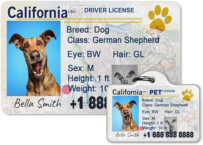 Dog License Tag Custom Pet Driver License ID Tags Dog Name Tags Personalized by safestylishwithlove