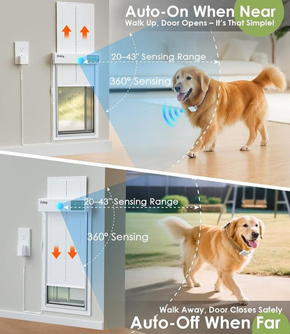 Automatic Dog Door for Wall - Image 2