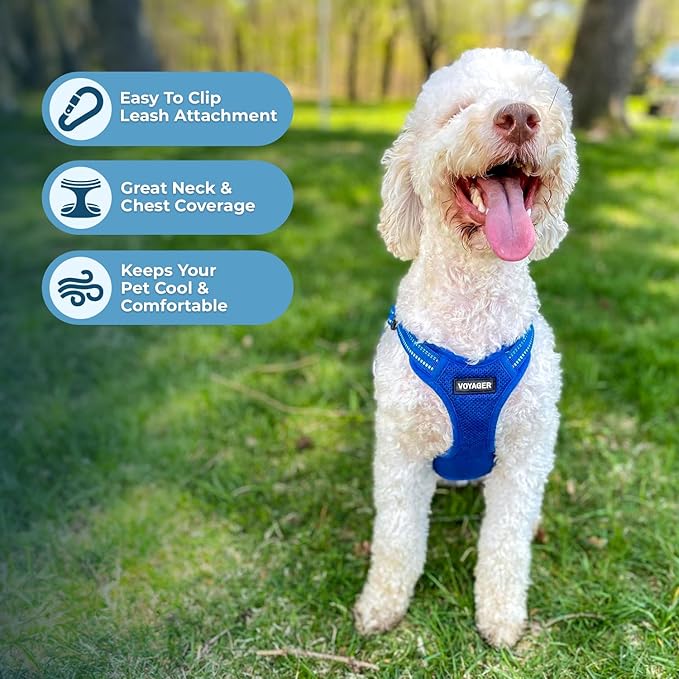 Best Pet Supplies Voyager Adjustable Step-in Flex Breathable Mesh Dog Harness - Image 5