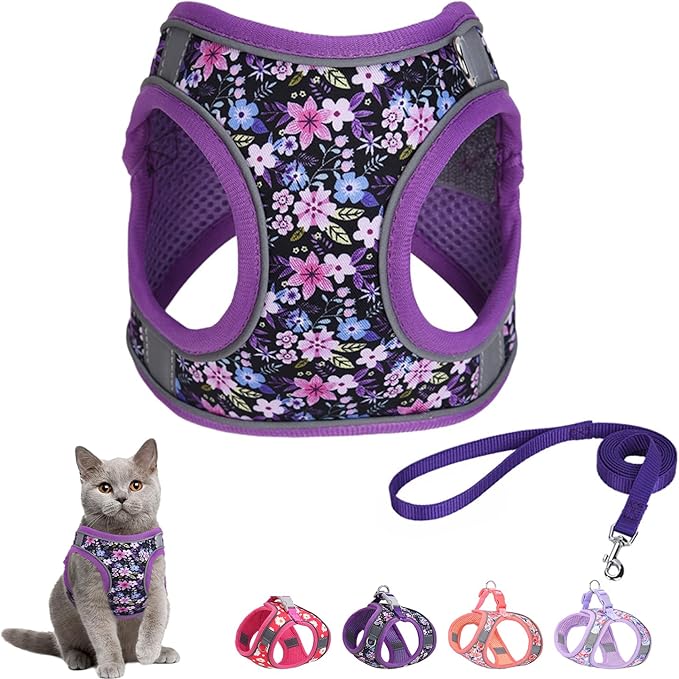 Step in Dog Harness and Leash Set, Flower Adjustable Easy Walk Puppy Harnesses by Flymind