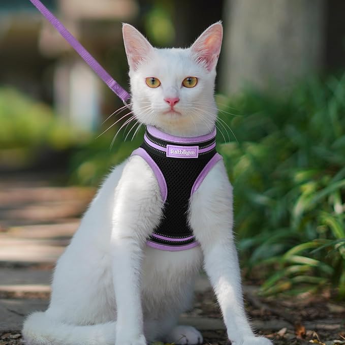 rabbitgoo Cat Harness and Leash, Step-in Escape Proof Kitten Harness Set - Image 9
