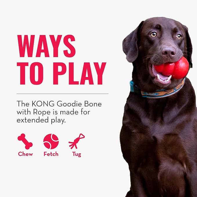 KONG Puppy Goodie Bone with Rope - Image 4
