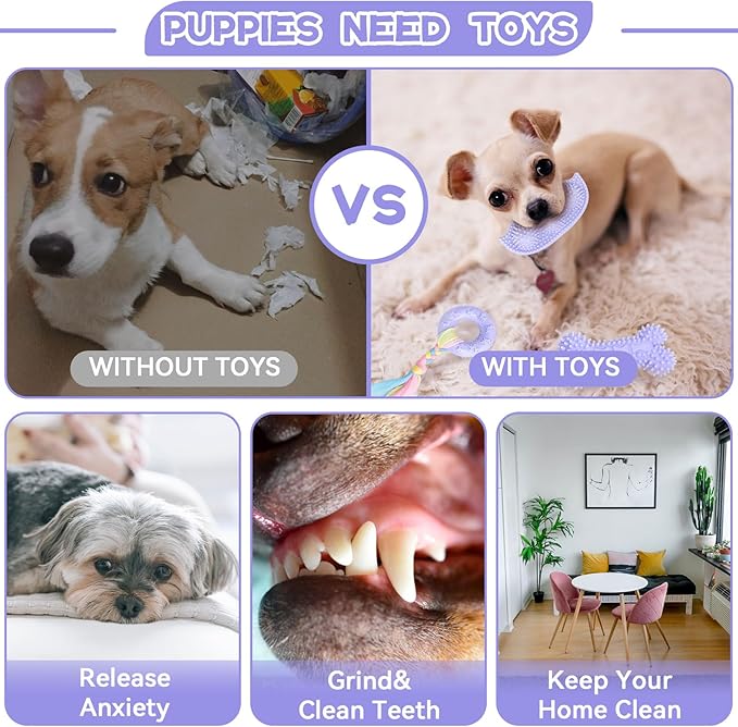 Petcare 6 Pack Puppy Teething Toys, Cute Purple Small Dog Chew Toys - Image 6