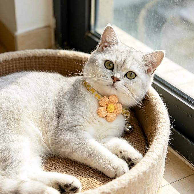PUPTECK Cat Collar Breakaway - Image 6