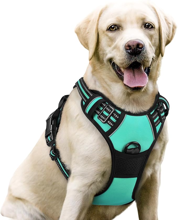 rabbitgoo Dog Harness No Pull by rabbitgoo
