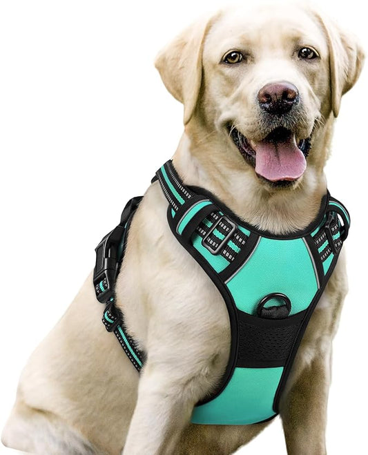 rabbitgoo Dog Harness No Pull by rabbitgoo