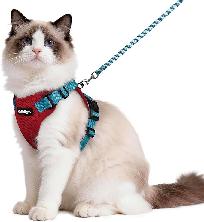 rabbitgoo Cat Harness and Leash Set, Escape Proof Vest Harness by rabbitgoo