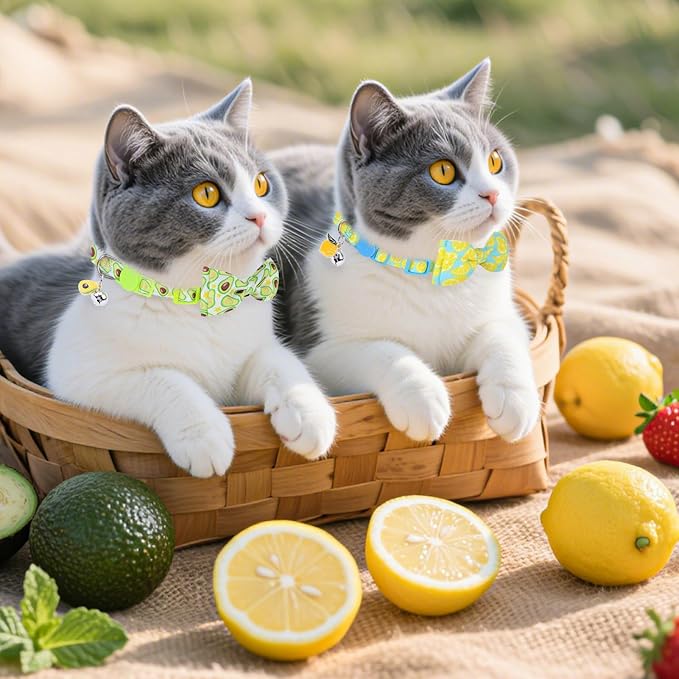 PUPTECK Cat Collar Breakaway - Image 9