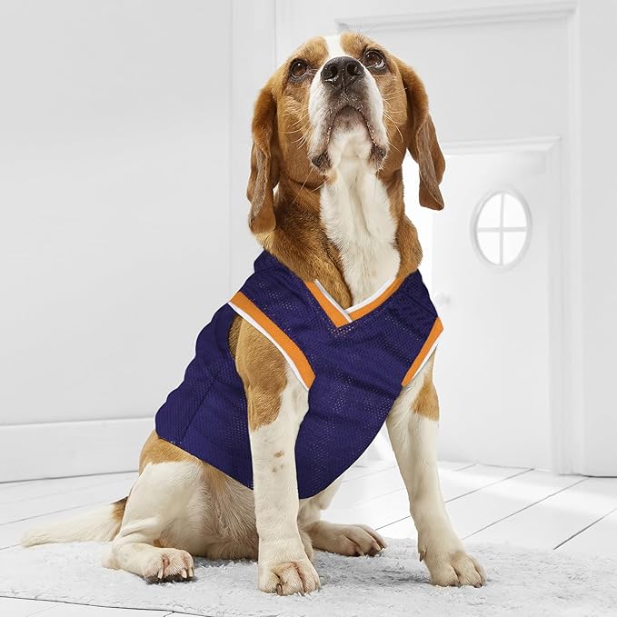 NBA PHOENIX SUNS DOG Jersey, Medium - Image 3