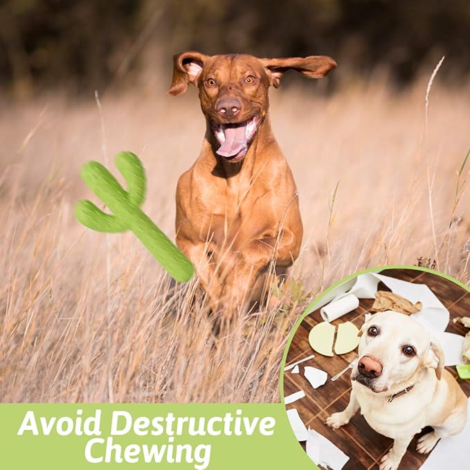 MewaJump Dog Chew Toys, Durable Rubber Dog Toys - Image 5