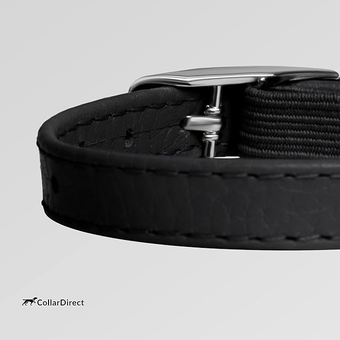 CollarDirect Leather Cat Collar - Image 4