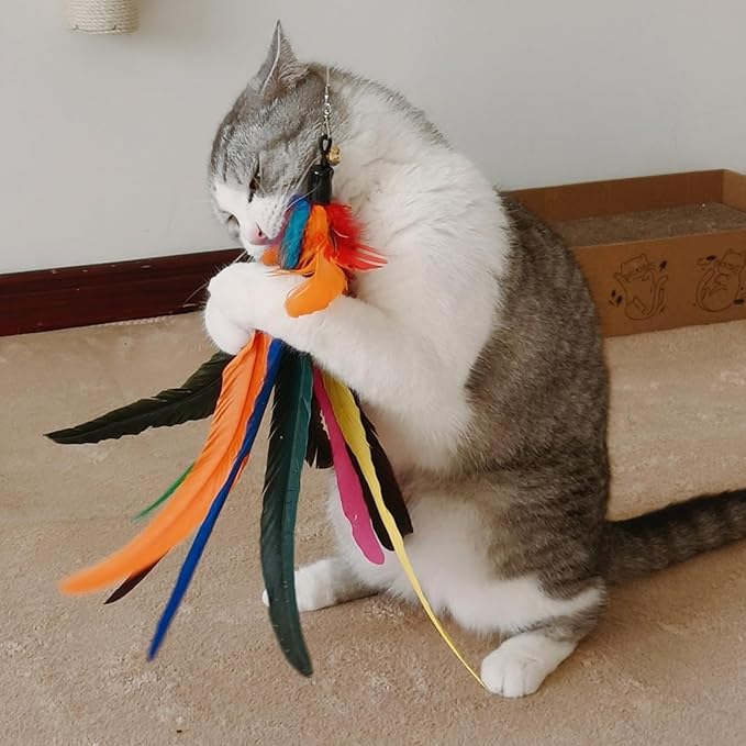 miwoowim Da Bird Feather Refill - Image 5