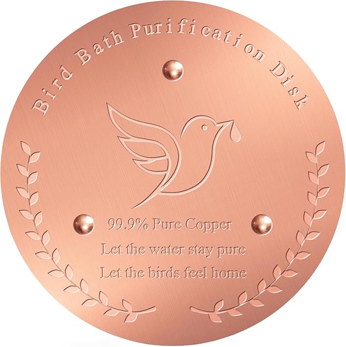 Bird Bath Copper Disk – 1mm Thick 99.9% Pure Copper Disk, 100mm Diameter by Unknown