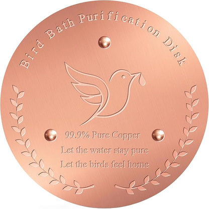Bird Bath Copper Disk – 1mm Thick 99.9% Pure Copper Disk, 100mm Diameter by Unknown