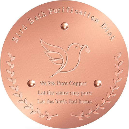 Bird Bath Copper Disk – 1mm Thick 99.9% Pure Copper Disk, 100mm Diameter by Unknown
