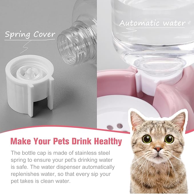 Double Dog Cat Bowls, Cat Food and Water Bowl Set - Image 4