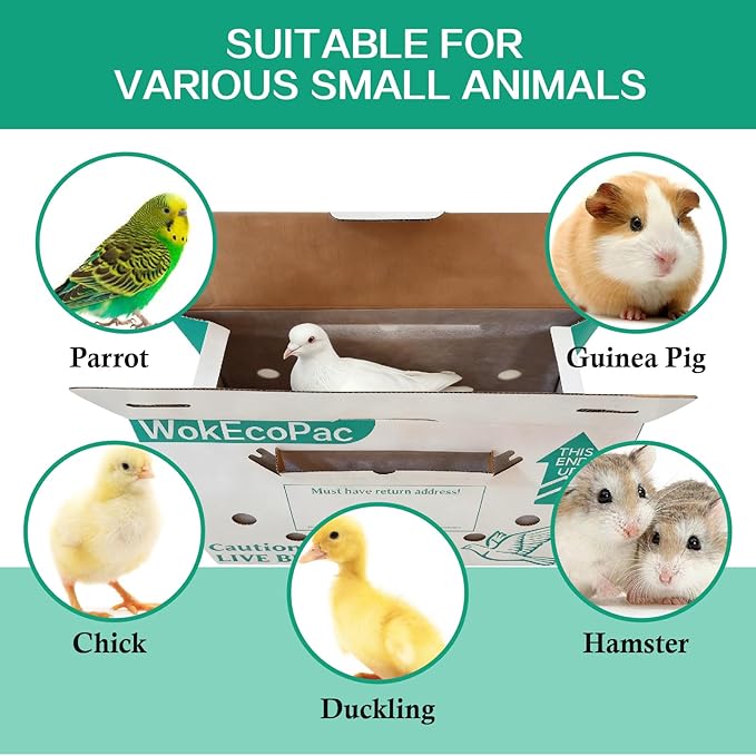 12 Pack Single Live Bird Shipping Boxes, Live Chicken Shipping Boxes, Poultry - Image 6