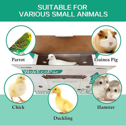 12 Pack Single Live Bird Shipping Boxes, Live Chicken Shipping Boxes, Poultry - Image 6