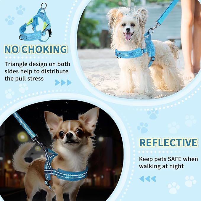 Lukovee No Pull Dog Harness and Leash Set, Soft Padded Small Dog Harness - Image 6