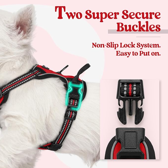 rabbitgoo Dog Harness No Pull - Image 3