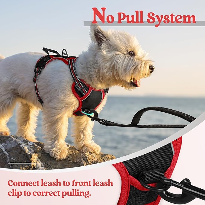 rabbitgoo Dog Harness No Pull - Image 5