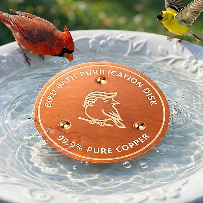 Factee Bird Bath Copper Disk – 0.6mm Thick 99.9% Pure Copper Cleaning Disk by Factee