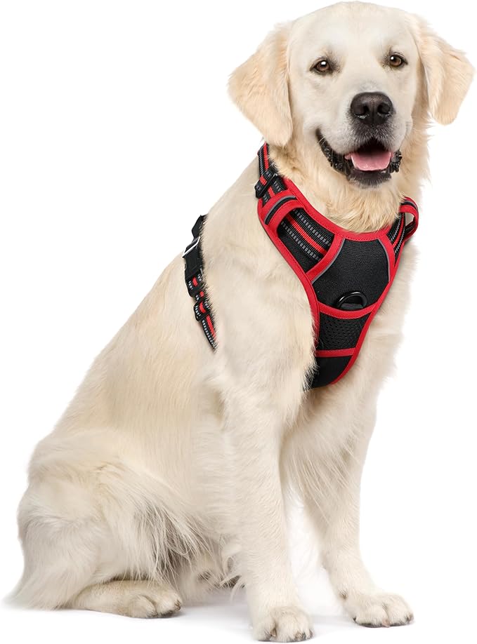 rabbitgoo Dog Harness No Pull by rabbitgoo