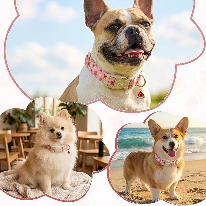 Pink Dog Collar with Watermelon - Image 4