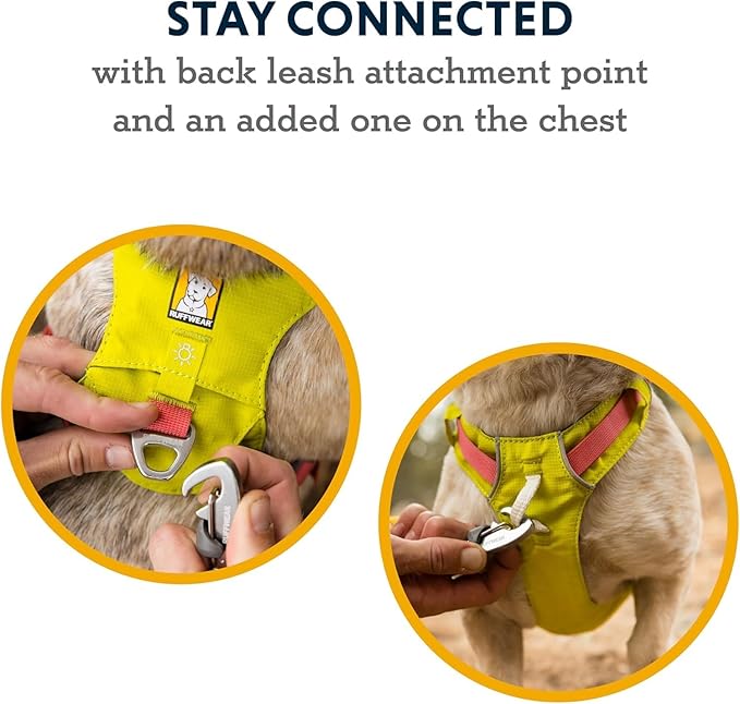 Ruffwear, Hi & Light, Everyday Lightweight Dog Harness, Trail Running, All-Day - Image 5