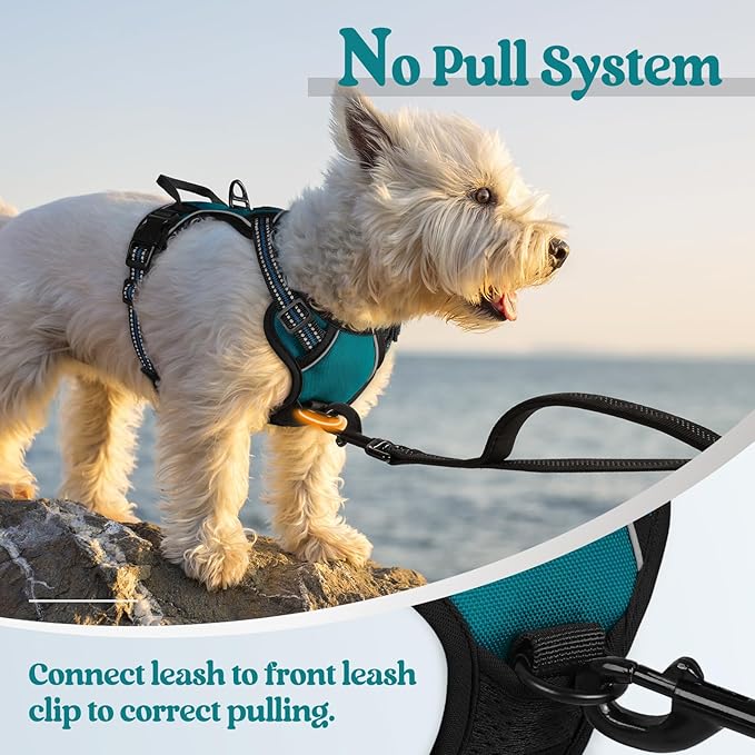 rabbitgoo Dog Harness No Pull - Image 5