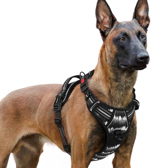 rabbitgoo Dog Harness for Large, No Pull Easy On & Off by rabbitgoo