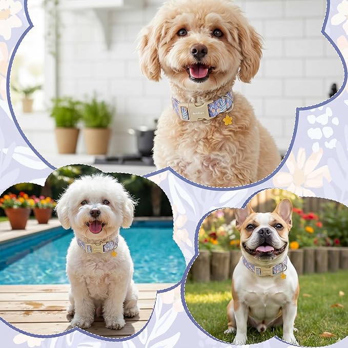 Floral Dog Collar, Cute Girl Boy Dog Collar Ideal Daily Use - Image 5