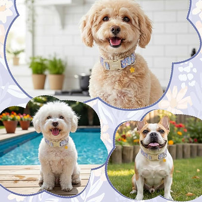 Floral Dog Collar, Cute Girl Boy Dog Collar Ideal Daily Use - Image 5