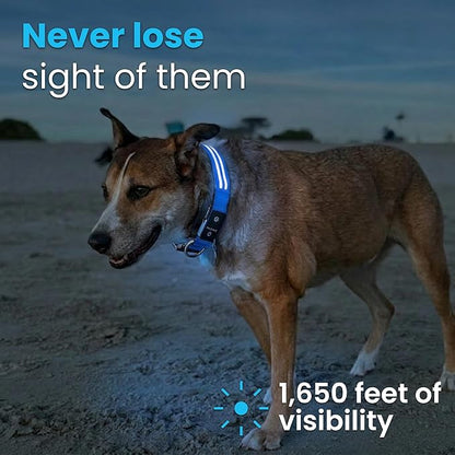 Tractive Smart Dog GPS Collar | Live Pet Tracker - Image 5