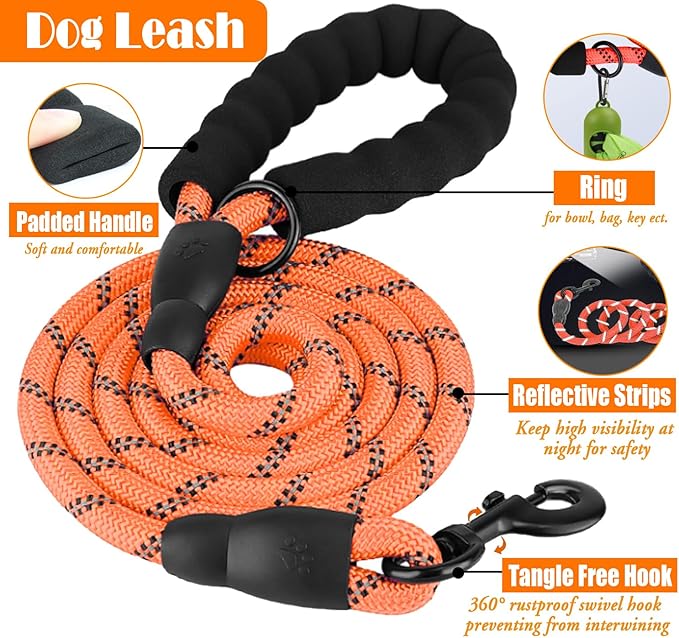 LOBEVE No Pull Dog Harness, Collar & Leash Set | Includes Dog Seat Belt - Image 5