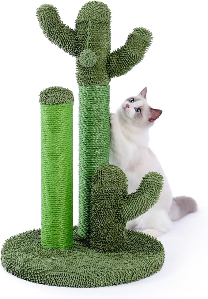 PAWZ Road Cat Scratching Post Cactus Cat Scratcher by PAWZRoad