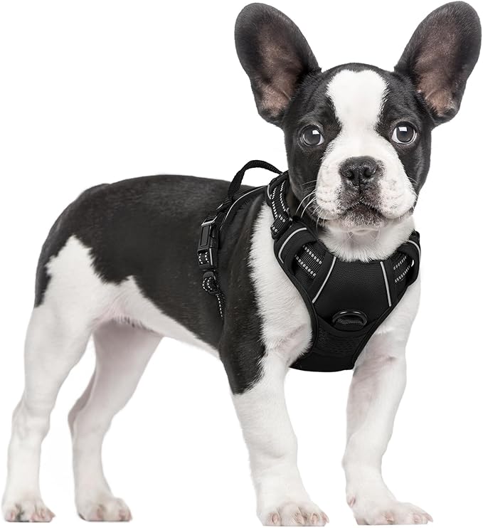 rabbitgoo Dog Harness No Pull by rabbitgoo