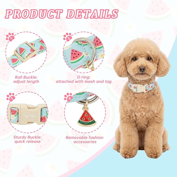 Summer Dog Collar, Cute Light Blue Puppy Collar - Image 2