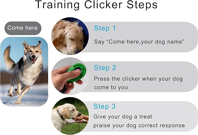 Pet Training Clicker with Wrist Strap - Image 7