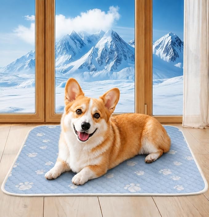 BWX Cooling Mat for Dogs by Unknown